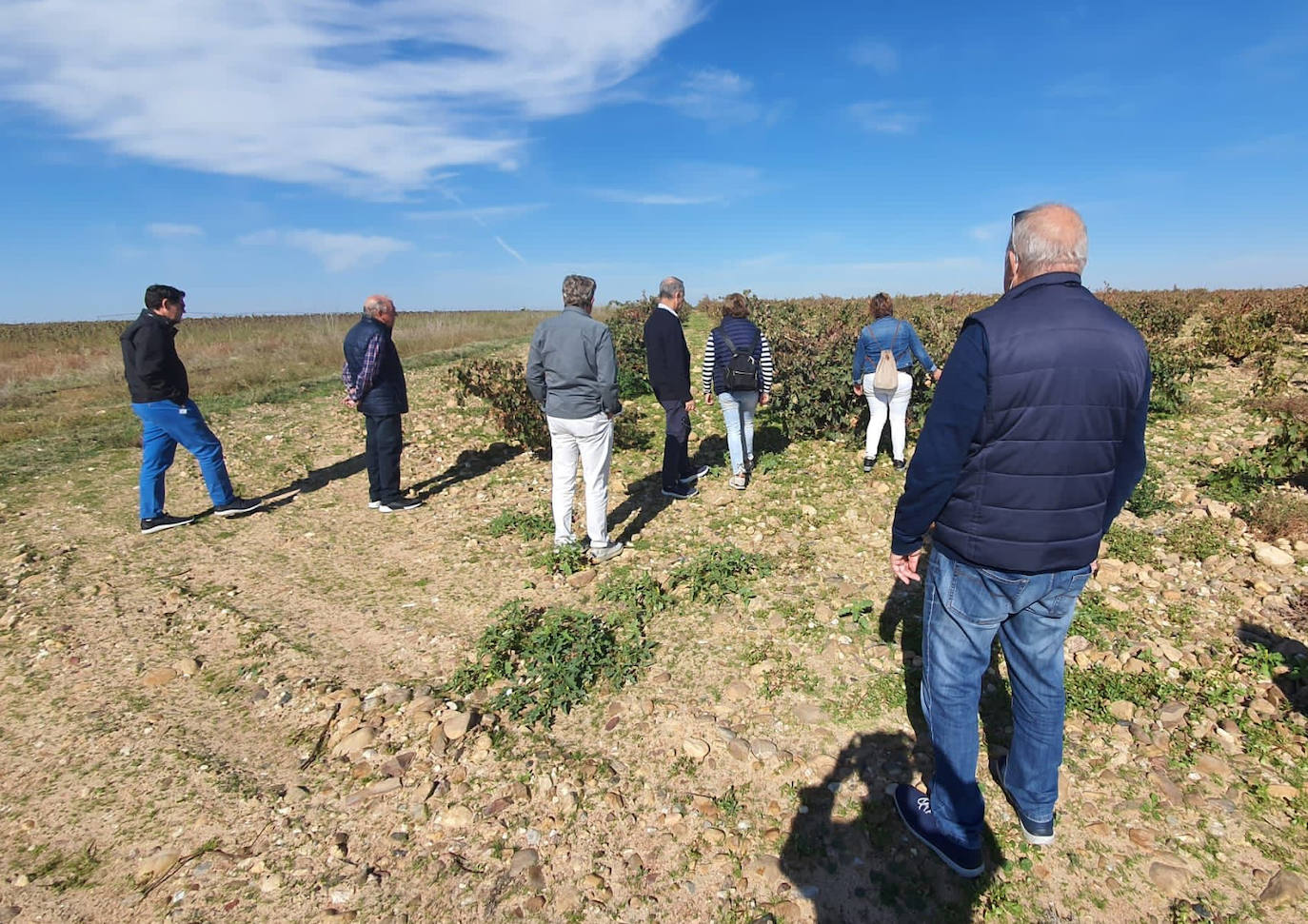 Fotos: Visita guiada a viñedos de Toro en el contexto del evento &#039;Valladolid. Plaza Mayor del vino&#039;