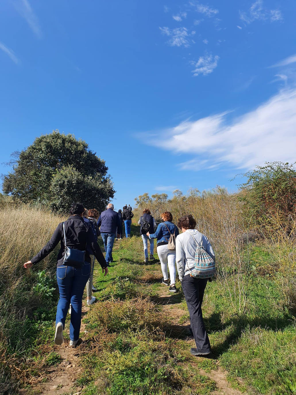 Fotos: Visita guiada a viñedos de Toro en el contexto del evento &#039;Valladolid. Plaza Mayor del vino&#039;