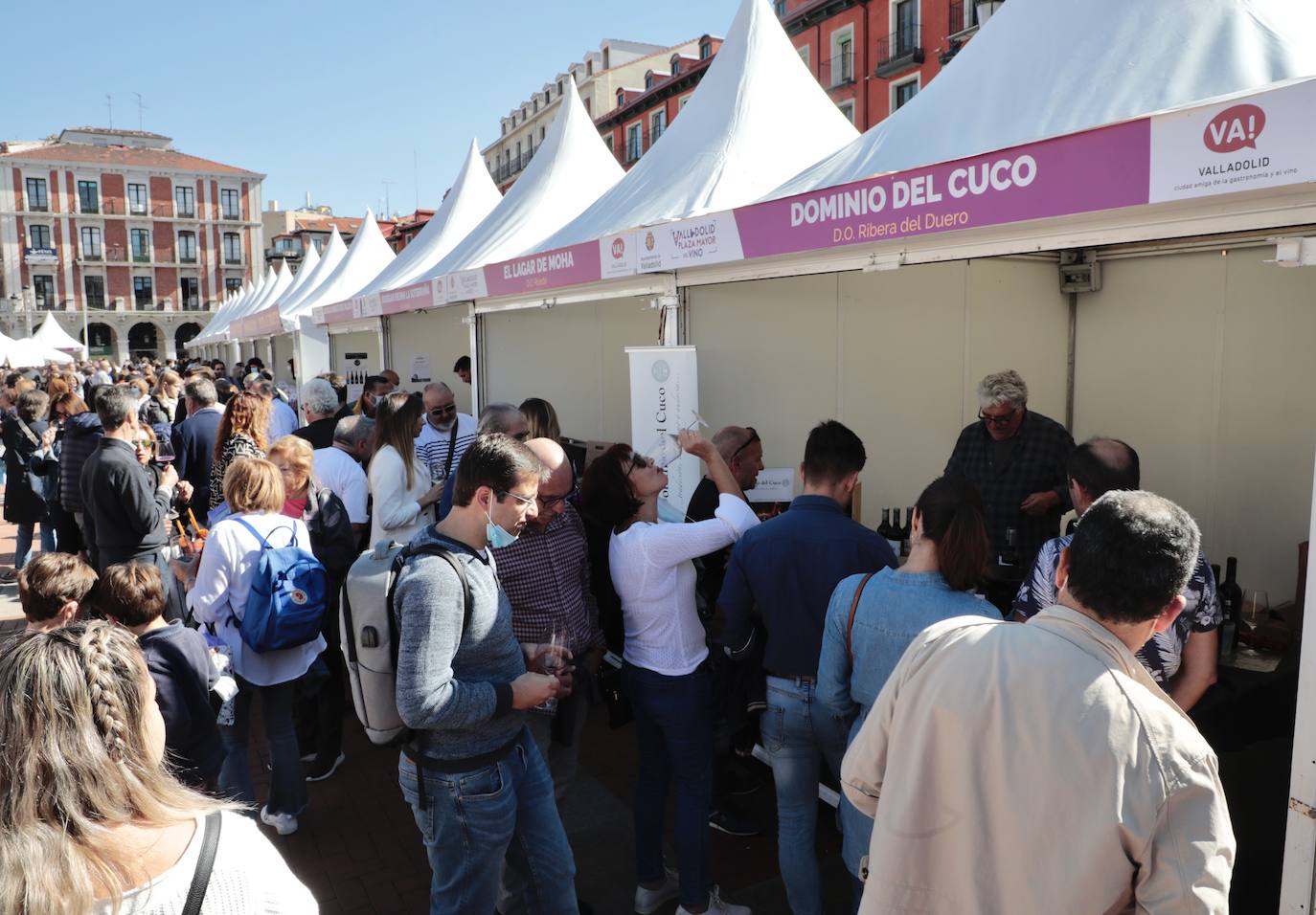 Fotos: Visita a la DO Rueda y ambiente del lunes en &#039;Valladolid. Plaza Mayor del Vino&#039;