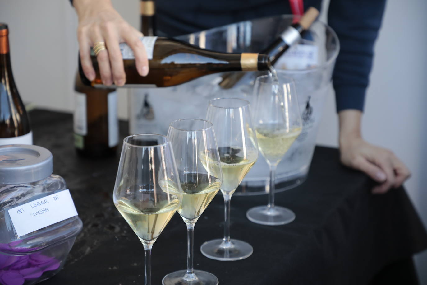 Última jornada de 'Valladolid. Plaza Mayor del Vino'.