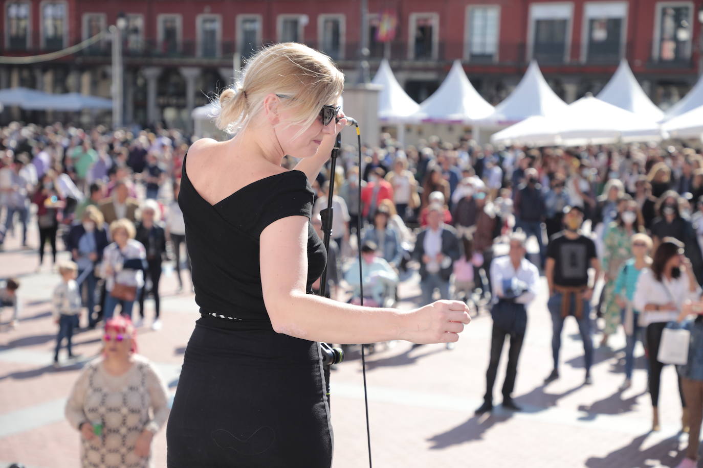 Última jornada de 'Valladolid. Plaza Mayor del Vino'.