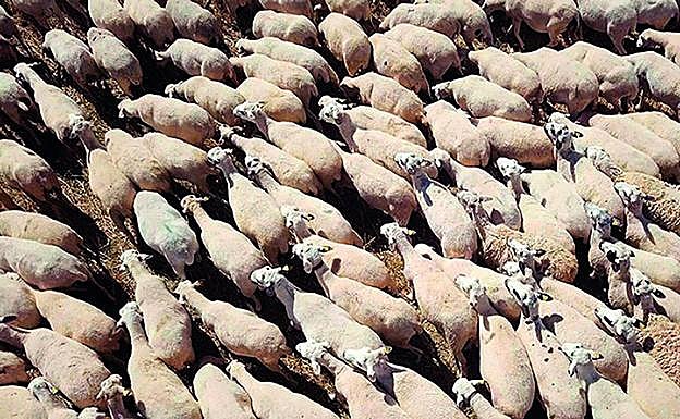 Fotograma del corto 'Besajaun'. 