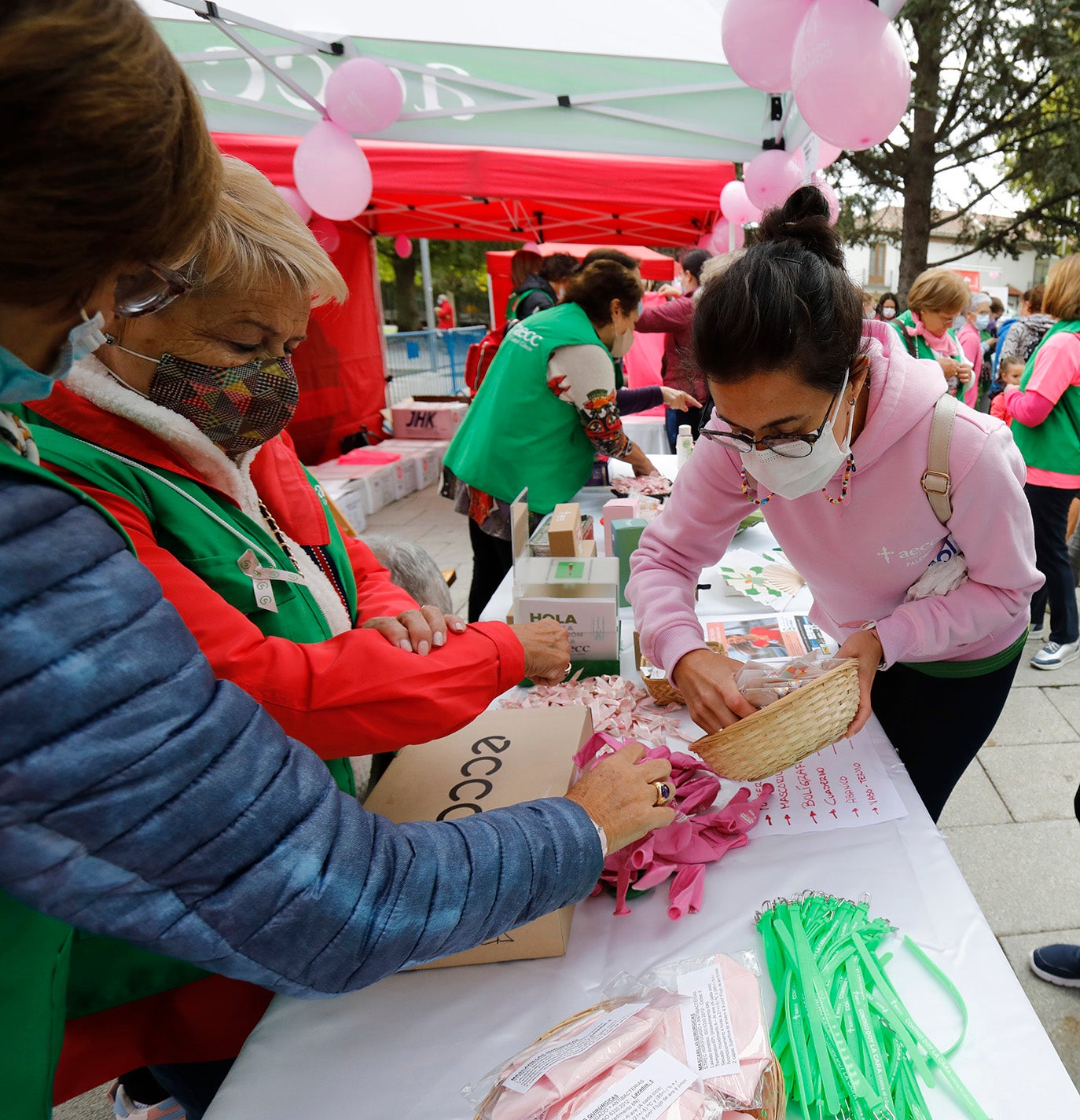 IX Marcha contra el cáncer en Palencia.