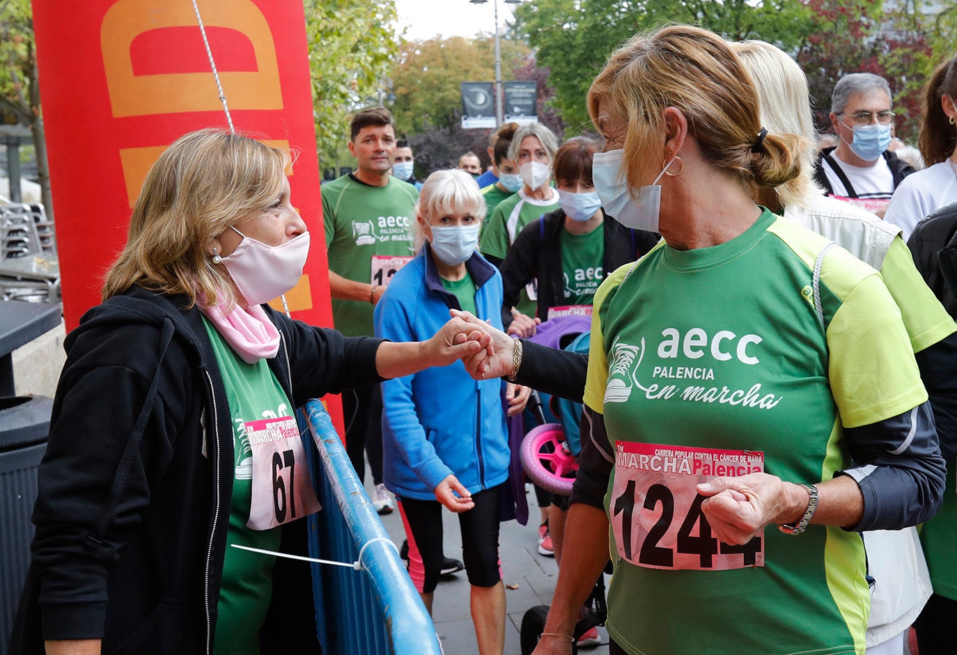 IX Marcha contra el cáncer en Palencia.