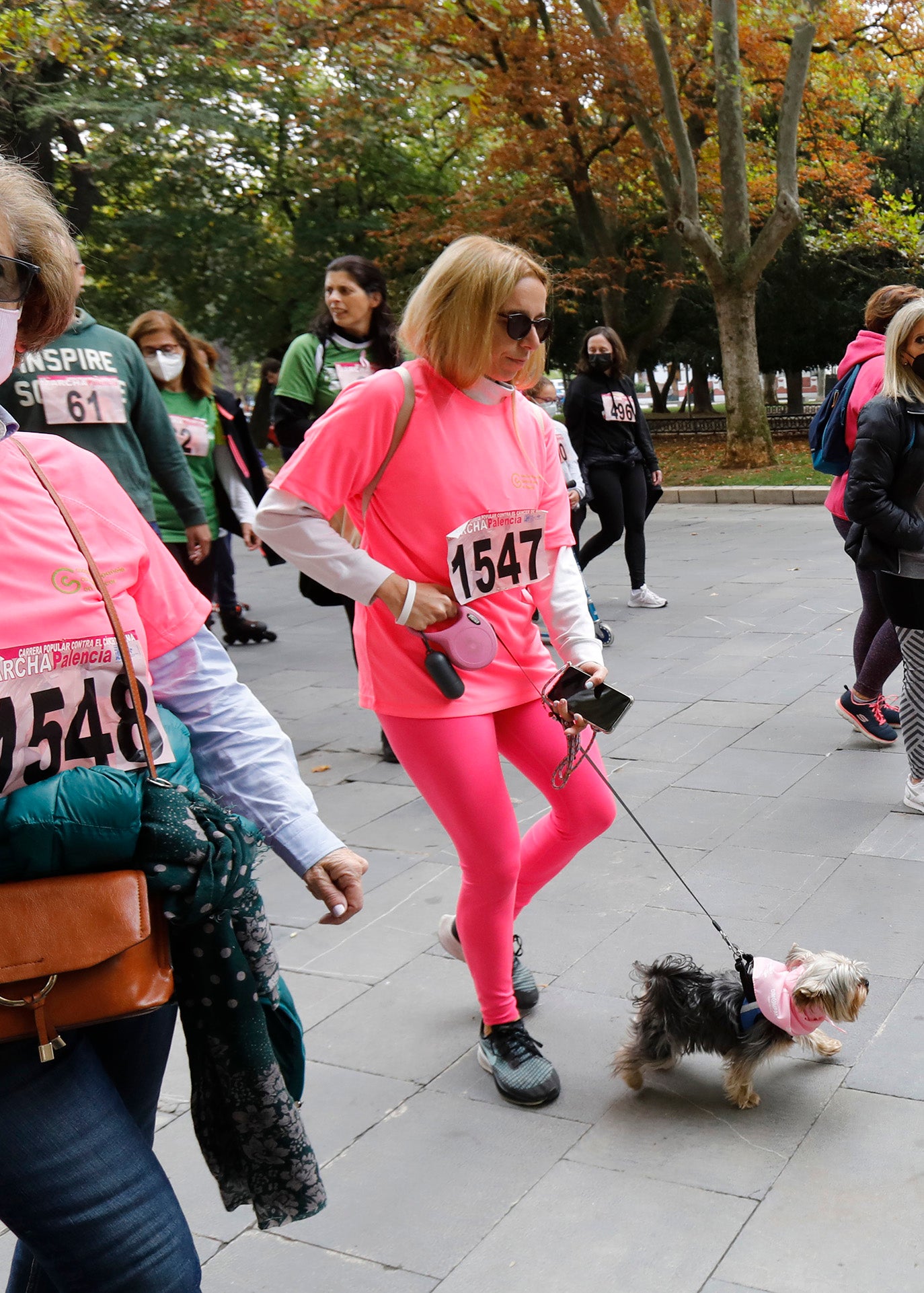 IX Marcha contra el cáncer en Palencia.