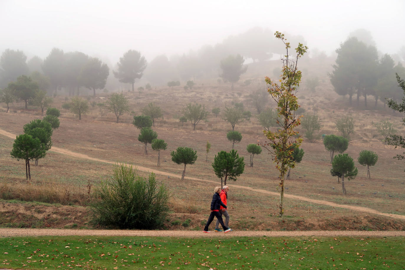 Fotos: riPrimer día de niebla en V