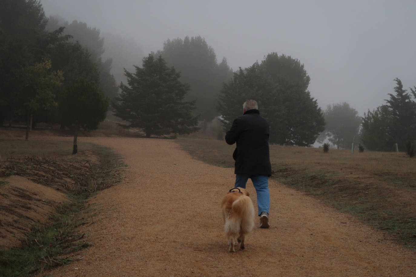 Fotos: riPrimer día de niebla en V