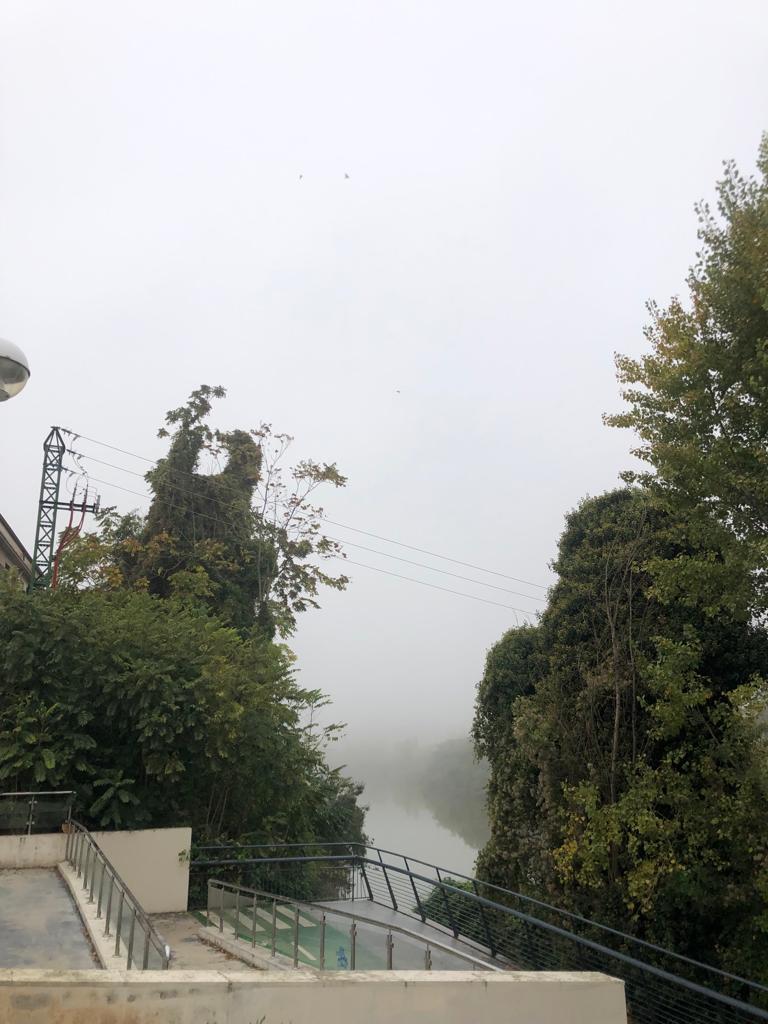 Fotos: riPrimer día de niebla en V