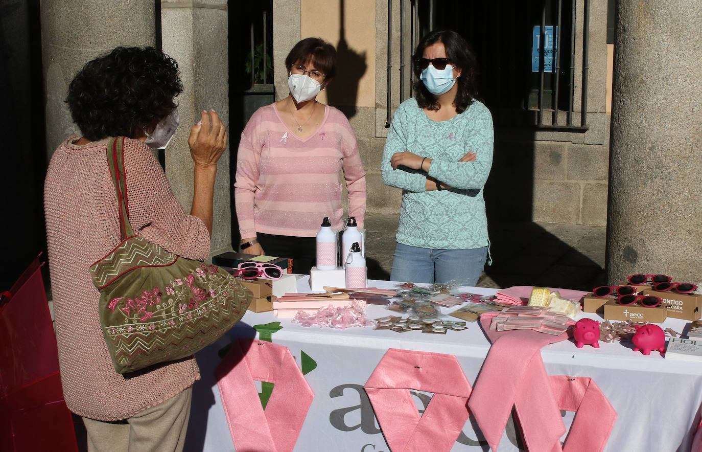 Día del cáncer de mama en Segovia 