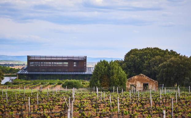 Imagen principal - Imágines exteriores de Bodegas Bela.