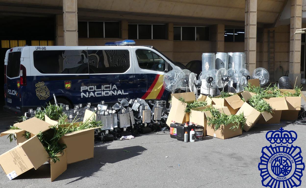 La Policía Nacional de Salamanca interviene 2.900 plantas de marihuana en el polígono de los Villares. 