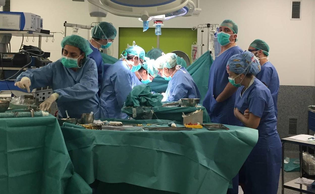 Transplante en los quirófanos del hospital Río Hortega de Valladolid.