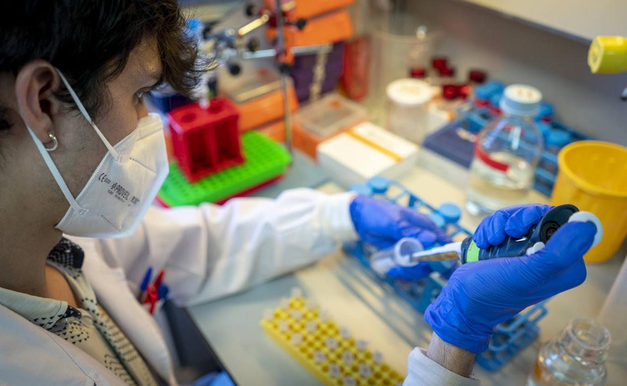 Una científica analiza unas muestras de la covid-19 en un laboratorio. 