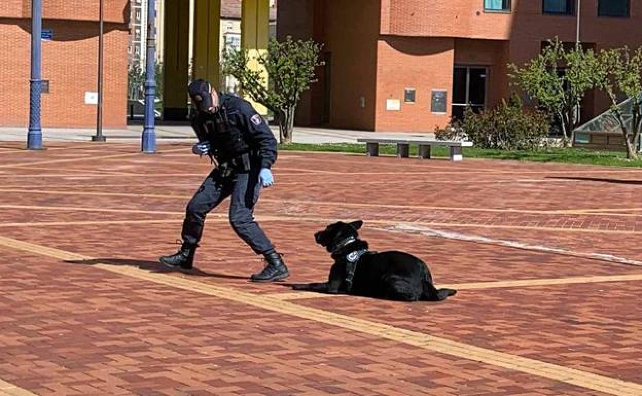 Unidad canina de la Policía Local de Burgos