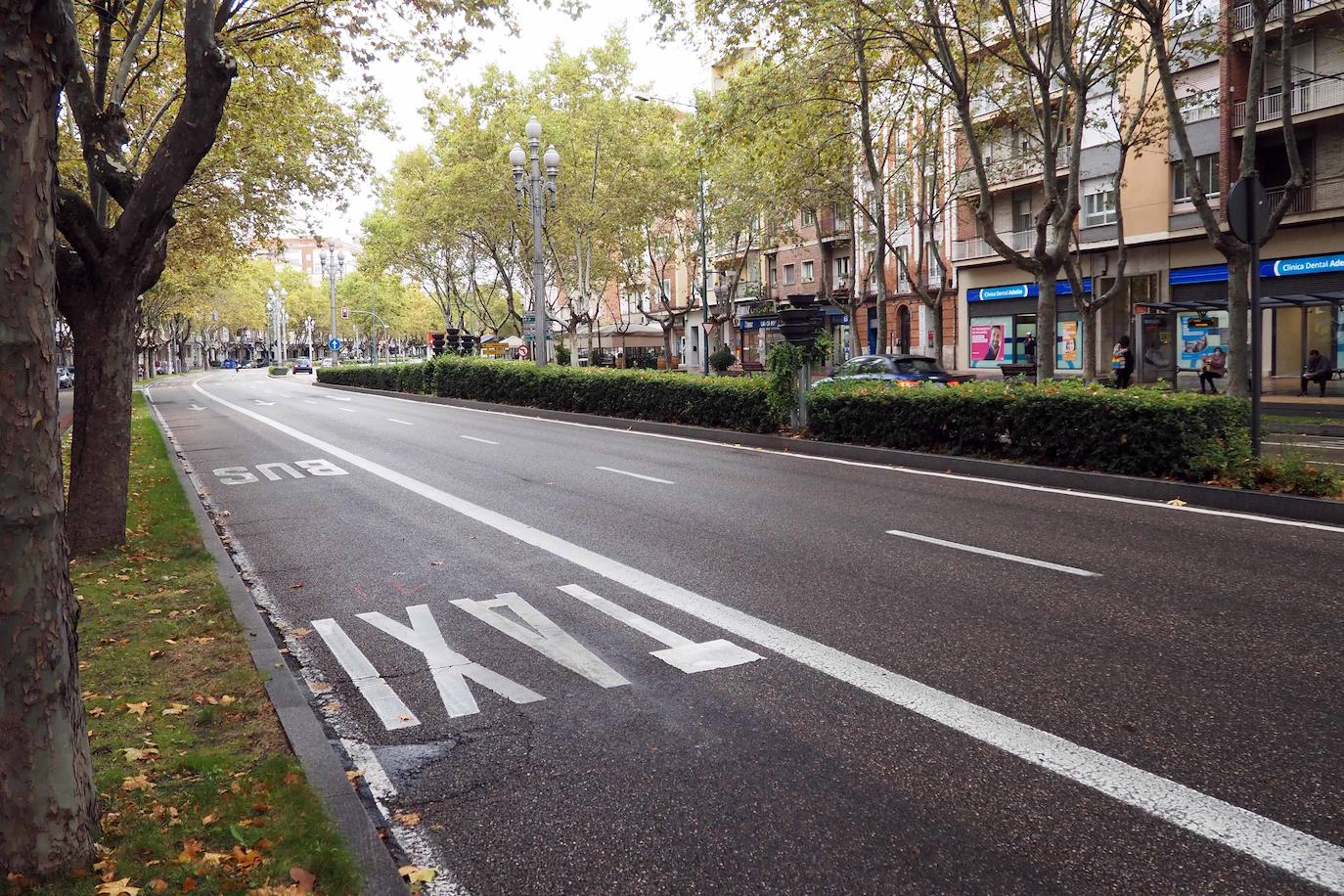 Detalles de una de las principales arterias de la ciudad 