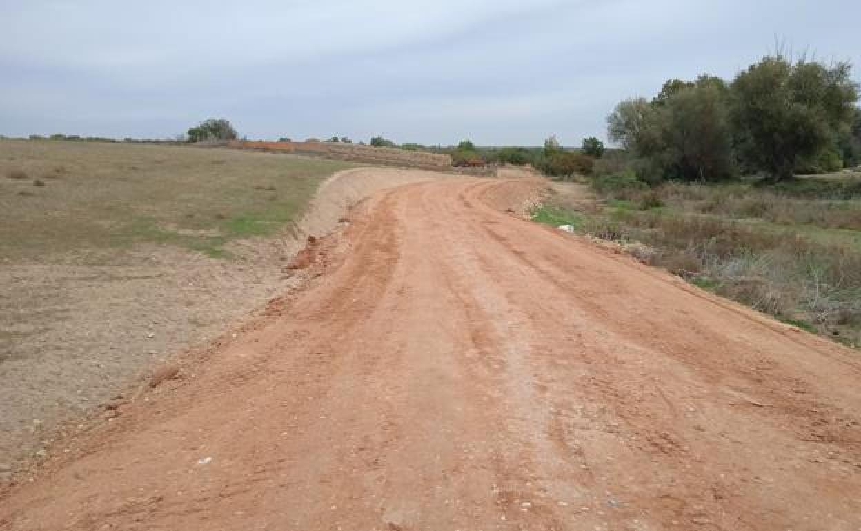 Camino de concentración parcelaria en la provincia de Valladolid. ´