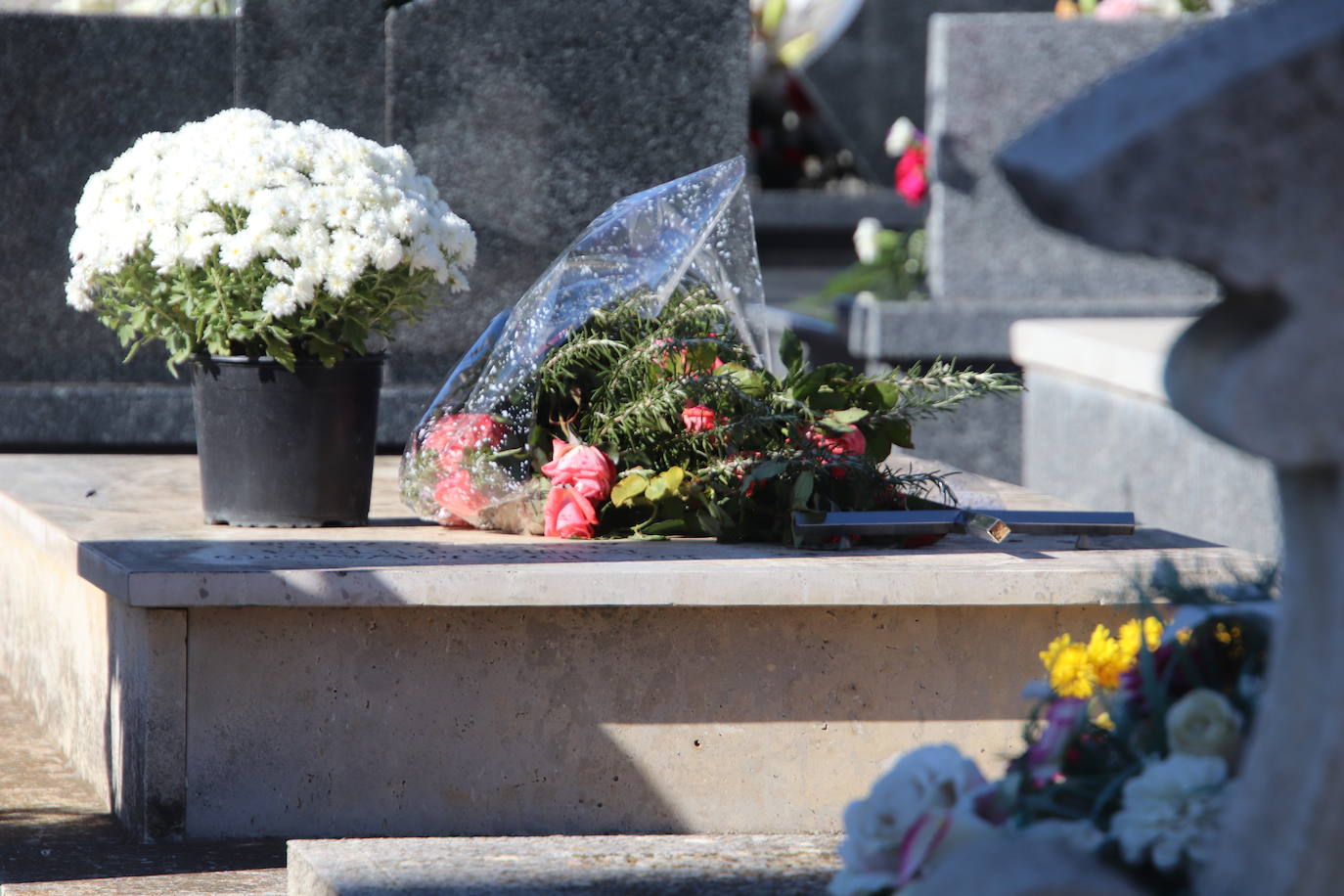 Fotos: El cardenal Carlos Amigo ofrece un responso en el cementerio de Medina de Rioseco