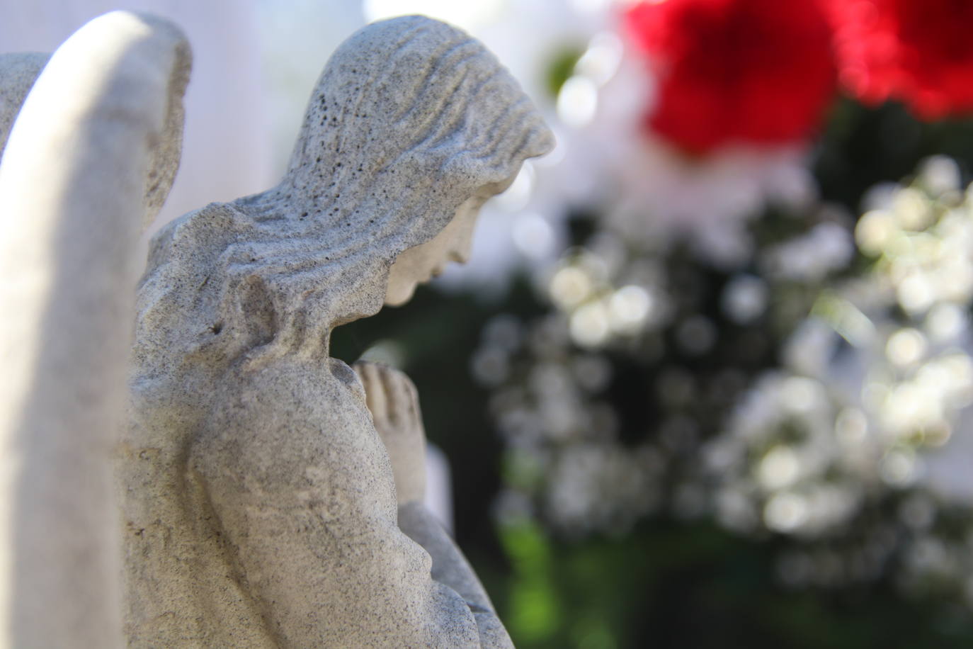 Fotos: El cardenal Carlos Amigo ofrece un responso en el cementerio de Medina de Rioseco