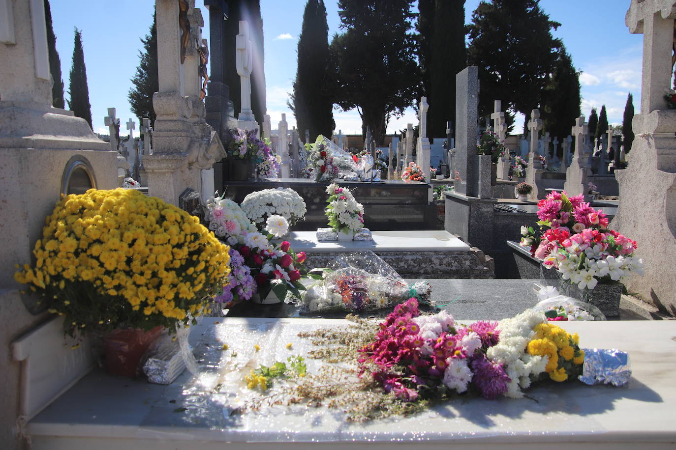 Fotos: El cardenal Carlos Amigo ofrece un responso en el cementerio de Medina de Rioseco