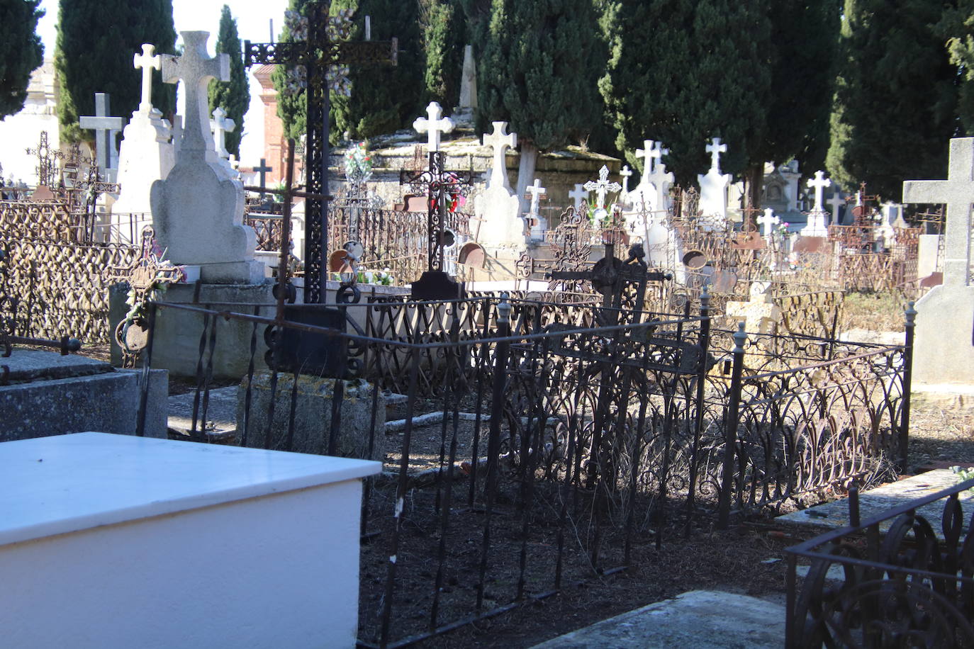 Fotos: El cardenal Carlos Amigo ofrece un responso en el cementerio de Medina de Rioseco