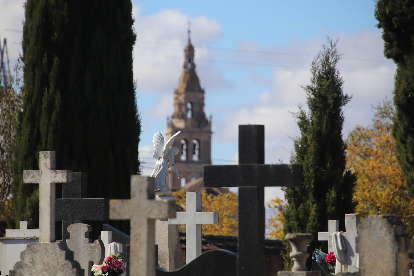 Fotos: El cardenal Carlos Amigo ofrece un responso en el cementerio de Medina de Rioseco