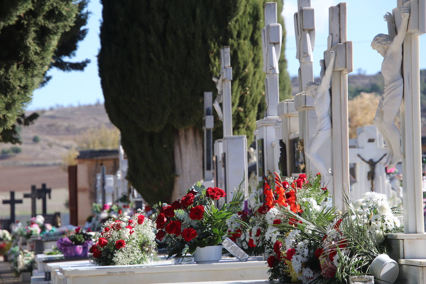 Fotos: El cardenal Carlos Amigo ofrece un responso en el cementerio de Medina de Rioseco