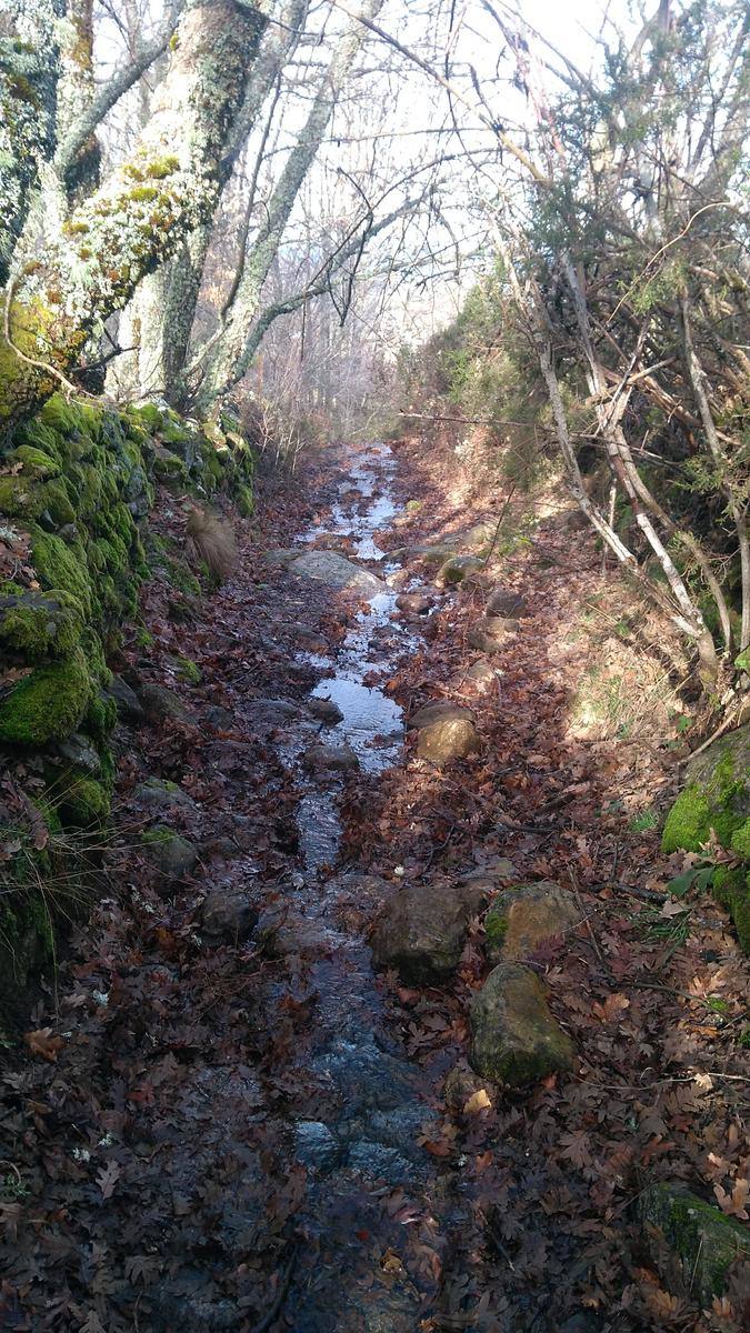 Fotos: Ruta al Pico del Águila en Béjar