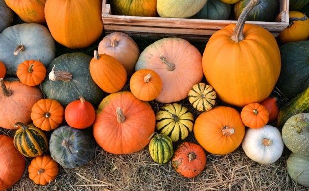 Calabaza, la hortaliza de este otoño