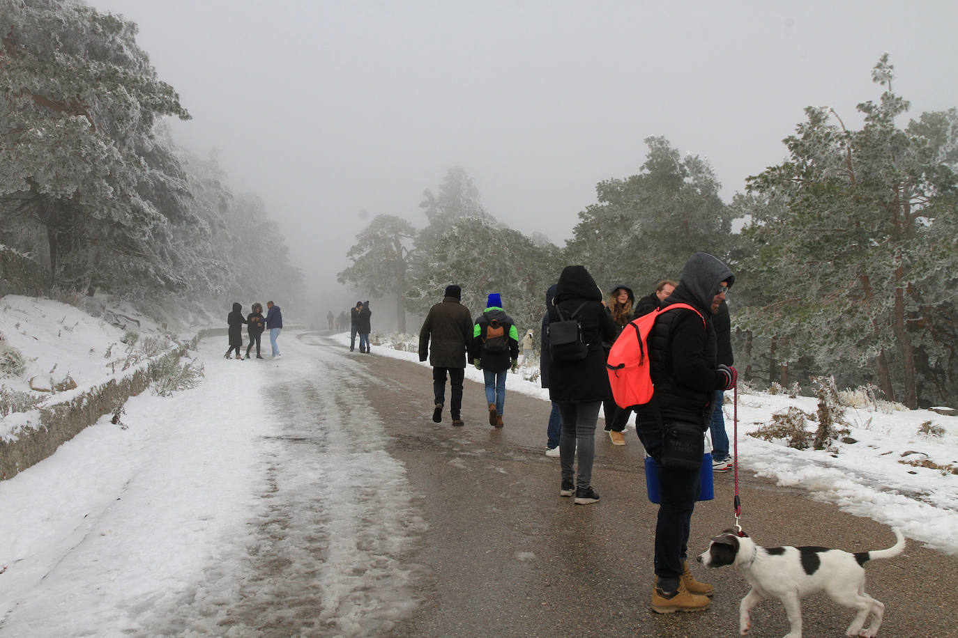 Turistas se hacen fotos en Navacerrada este sábado con las primera nevada. 