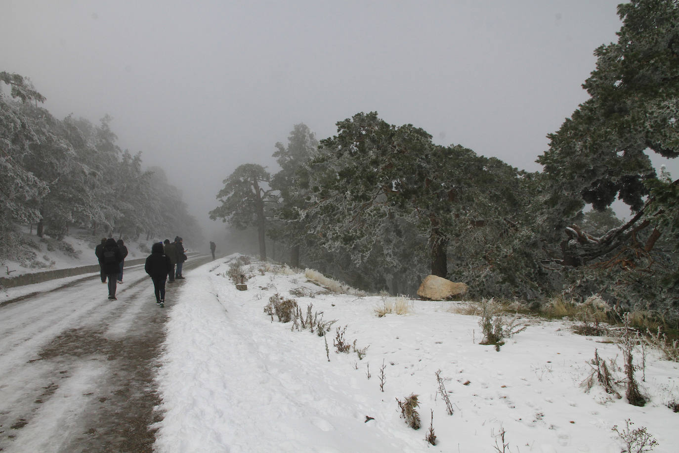 Turistas se hacen fotos en Navacerrada este sábado con las primera nevada. 