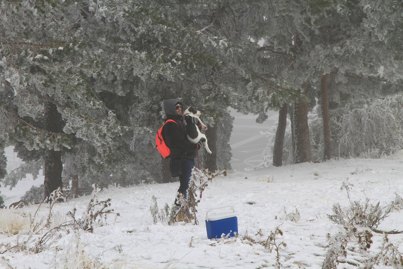 Turistas se hacen fotos en Navacerrada este sábado con las primera nevada. 