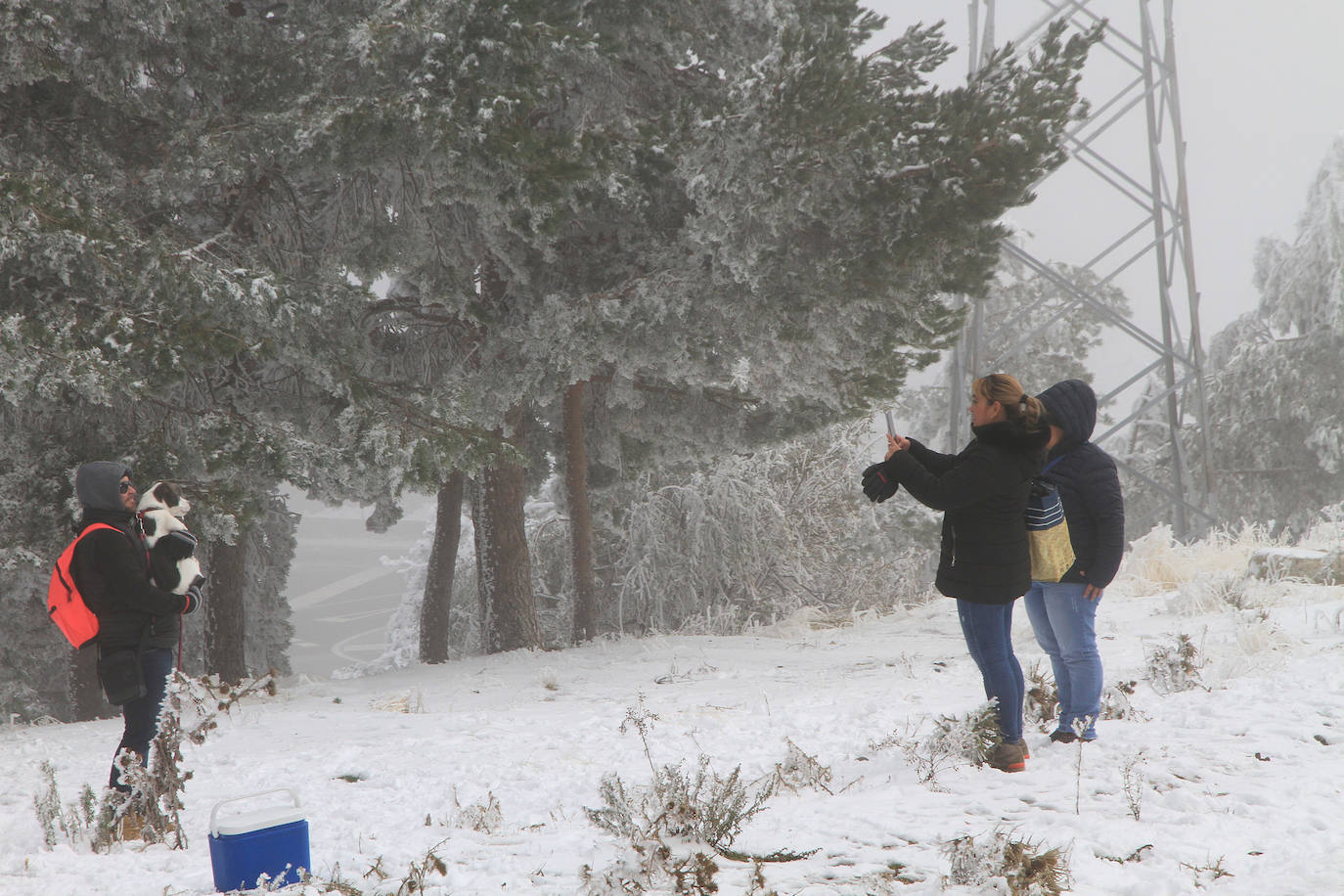 Turistas se hacen fotos en Navacerrada este sábado con las primera nevada. 