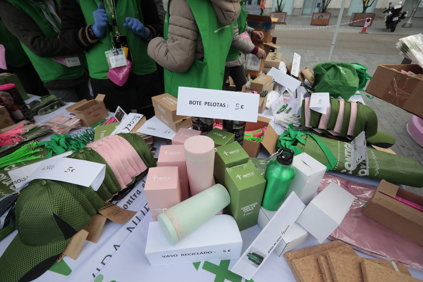 Fotos: Marcha contra el Cáncer en Valladolid (5)