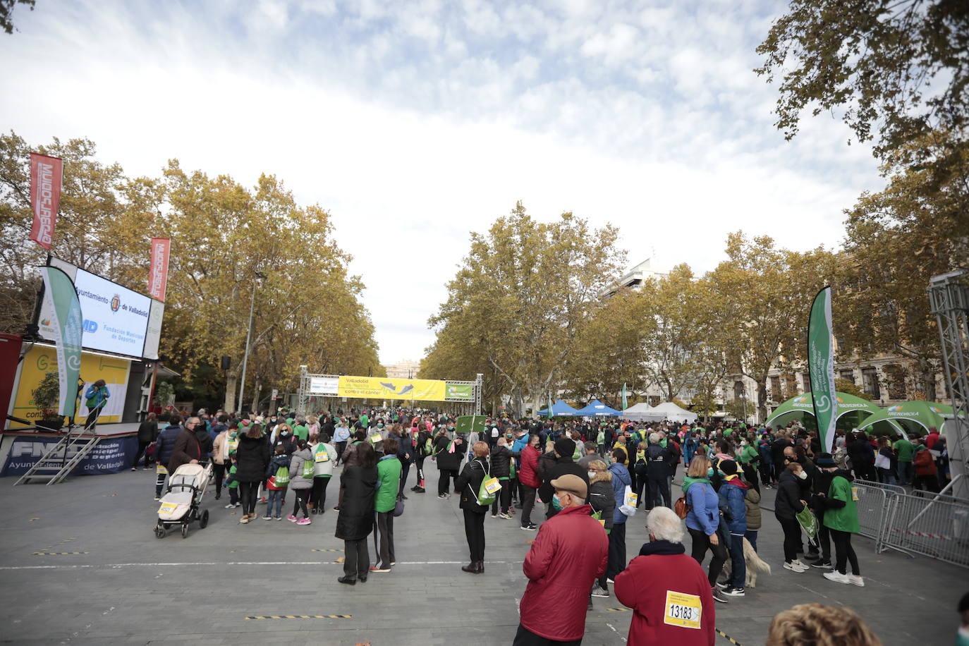 Fotos: Marcha contra el Cáncer en Valladolid (5)