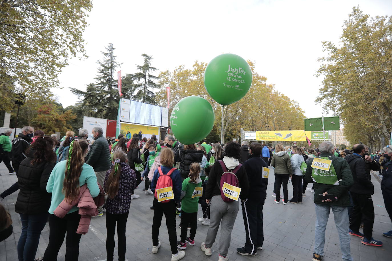 Fotos: Marcha contra el Cáncer en Valladolid (5)