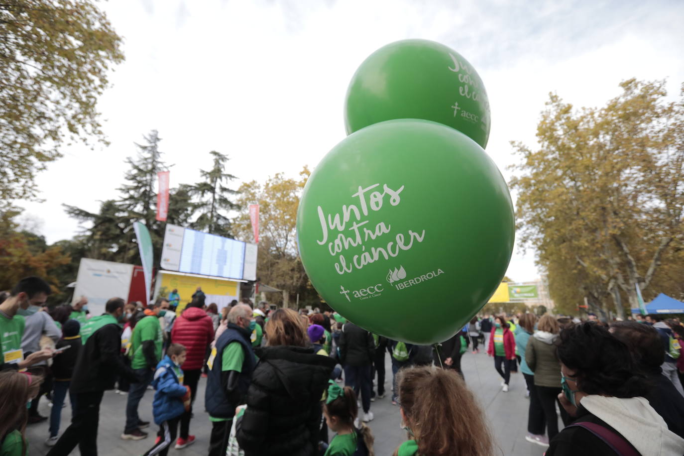 Fotos: Marcha contra el Cáncer en Valladolid (6)