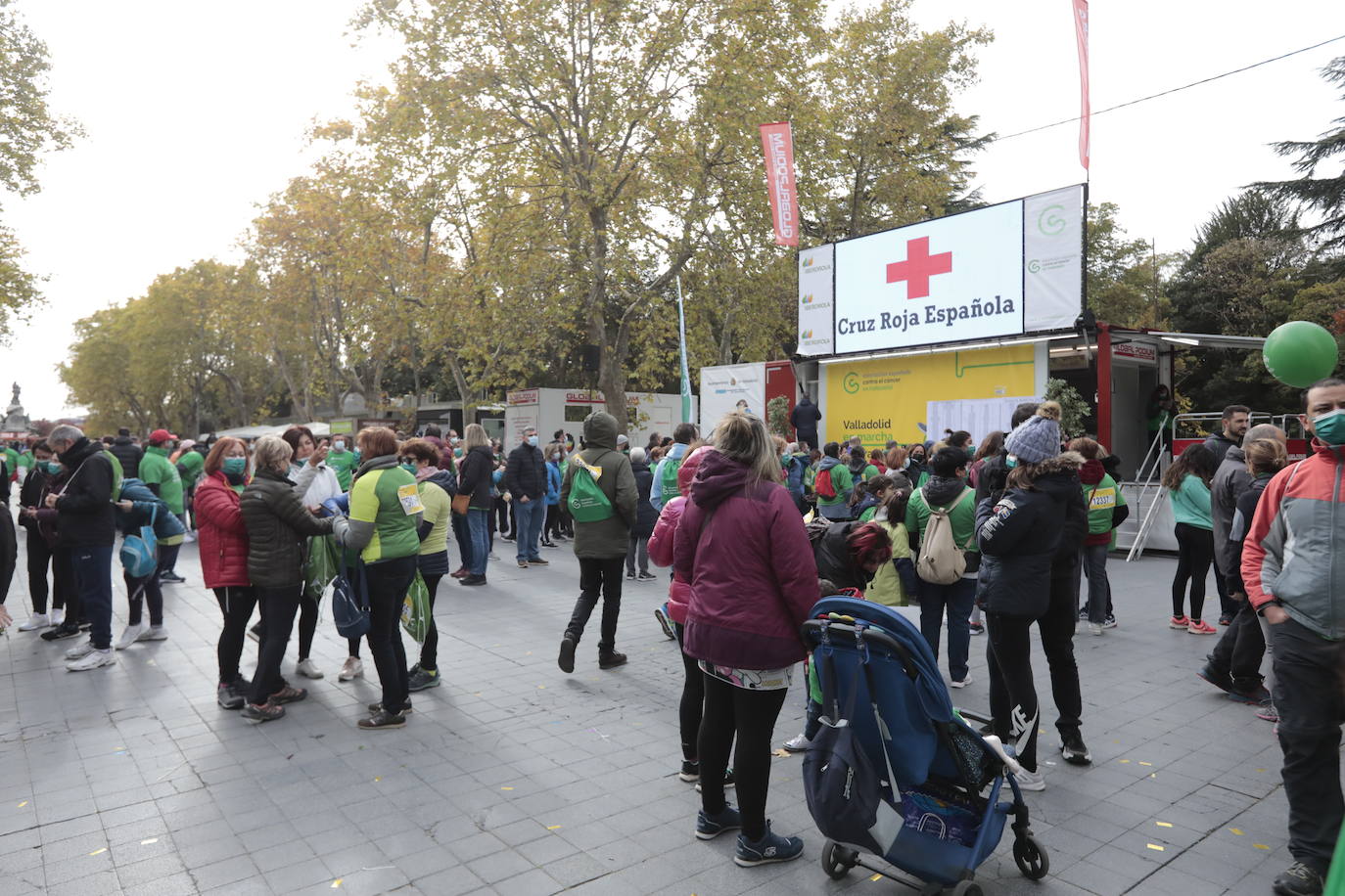 Fotos: Marcha contra el Cáncer en Valladolid (6)