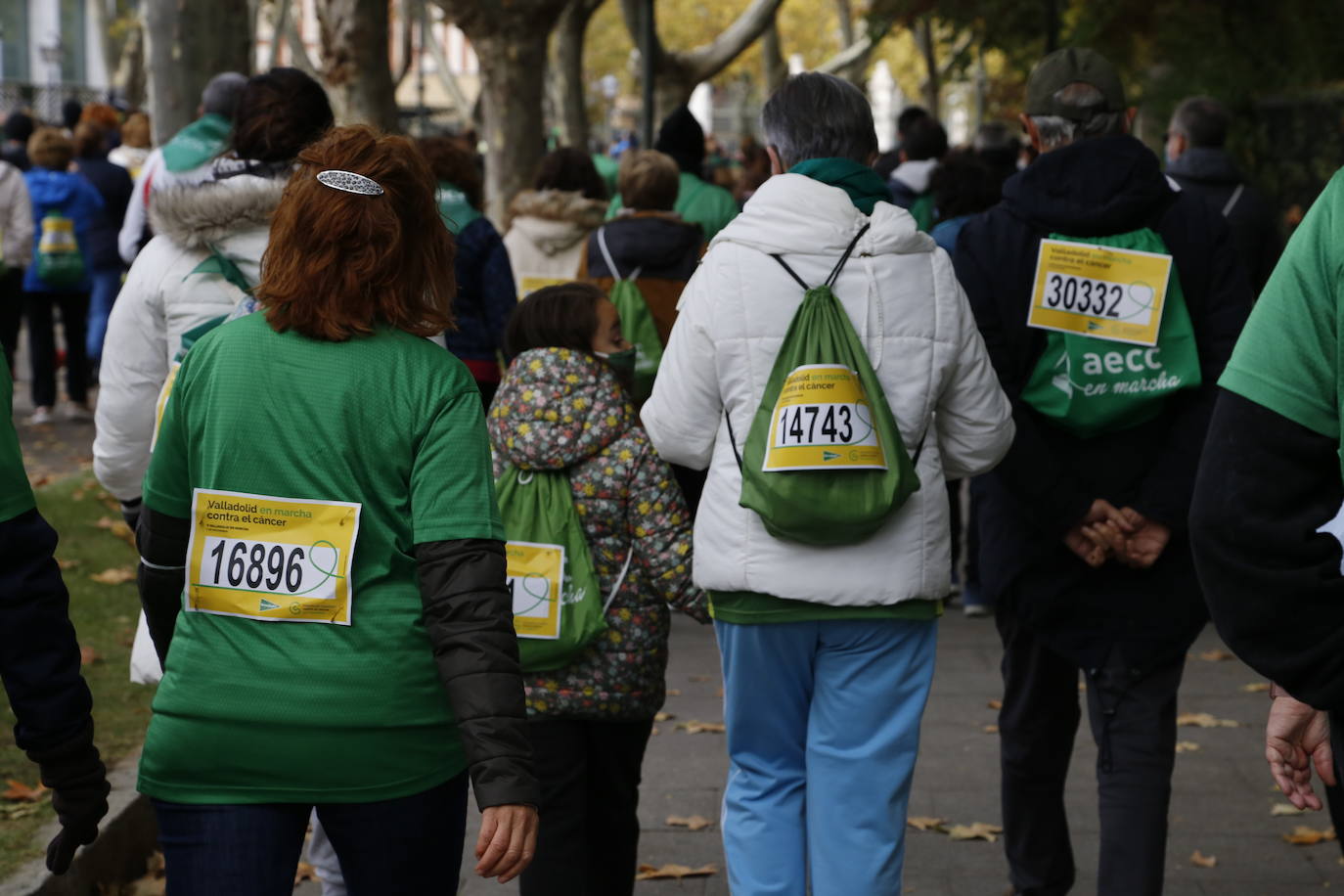 Fotos: Marcha contra el Cáncer en Valladolid (7)