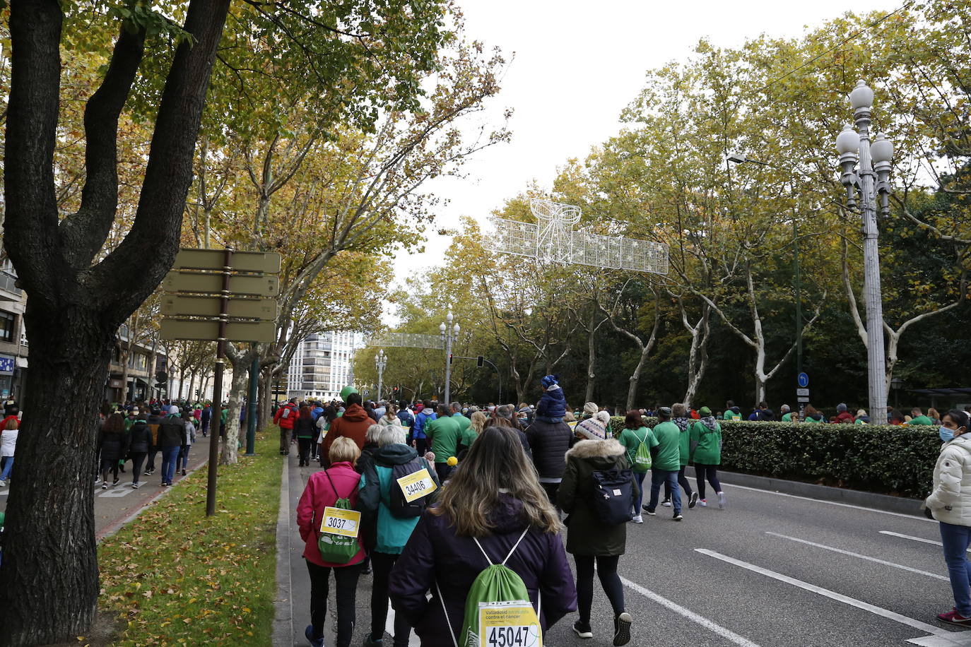 Fotos: Marcha contra el Cáncer en Valladolid (7)