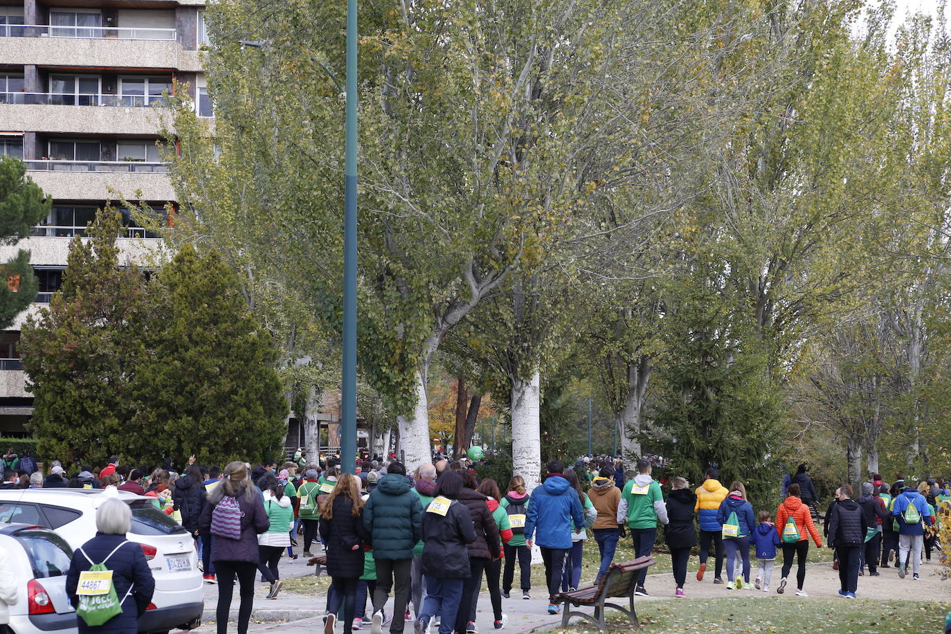 Fotos: Marcha contra el Cáncer en Valladolid (7)