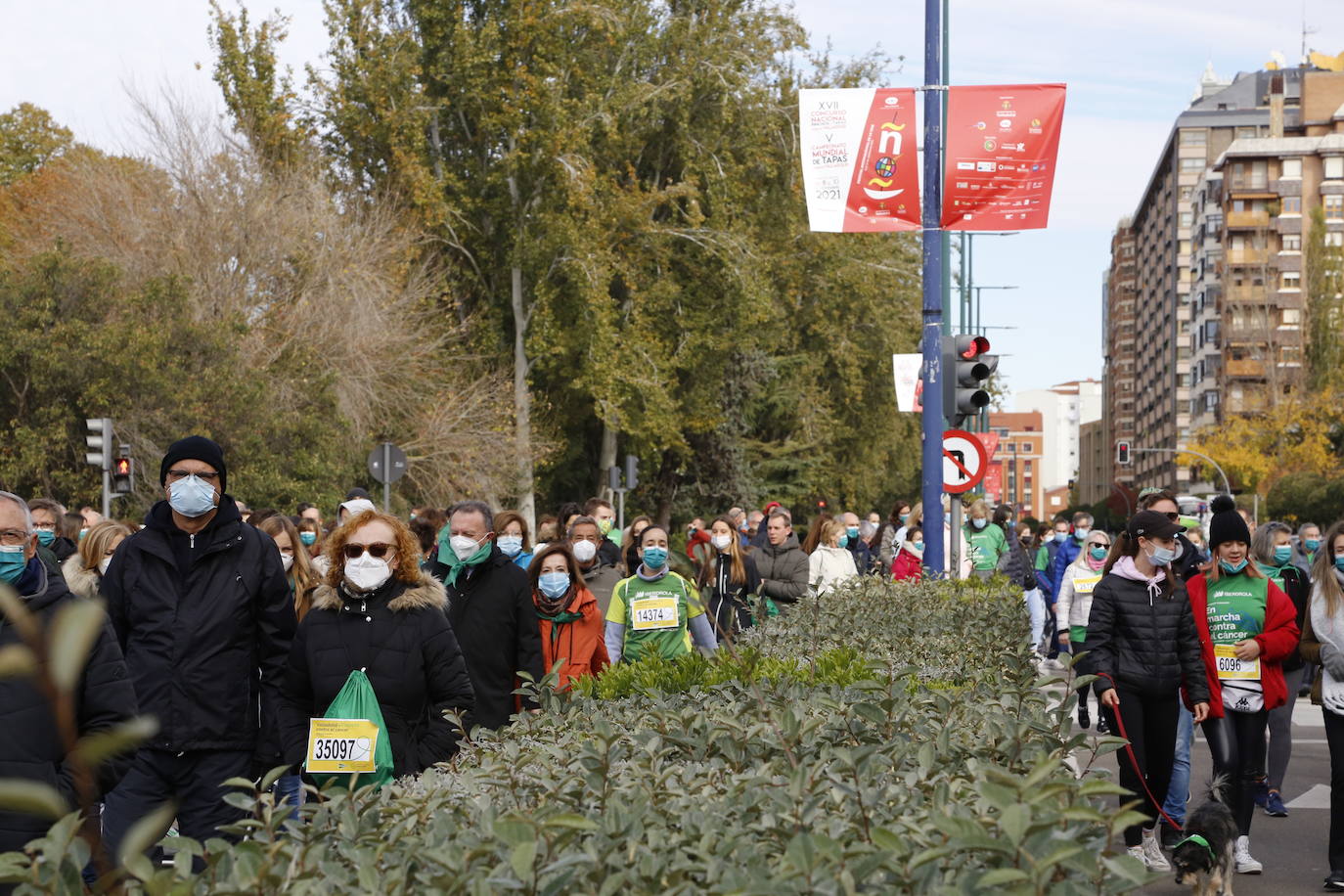 Fotos: Marcha contra el Cáncer en Valladolid (8)