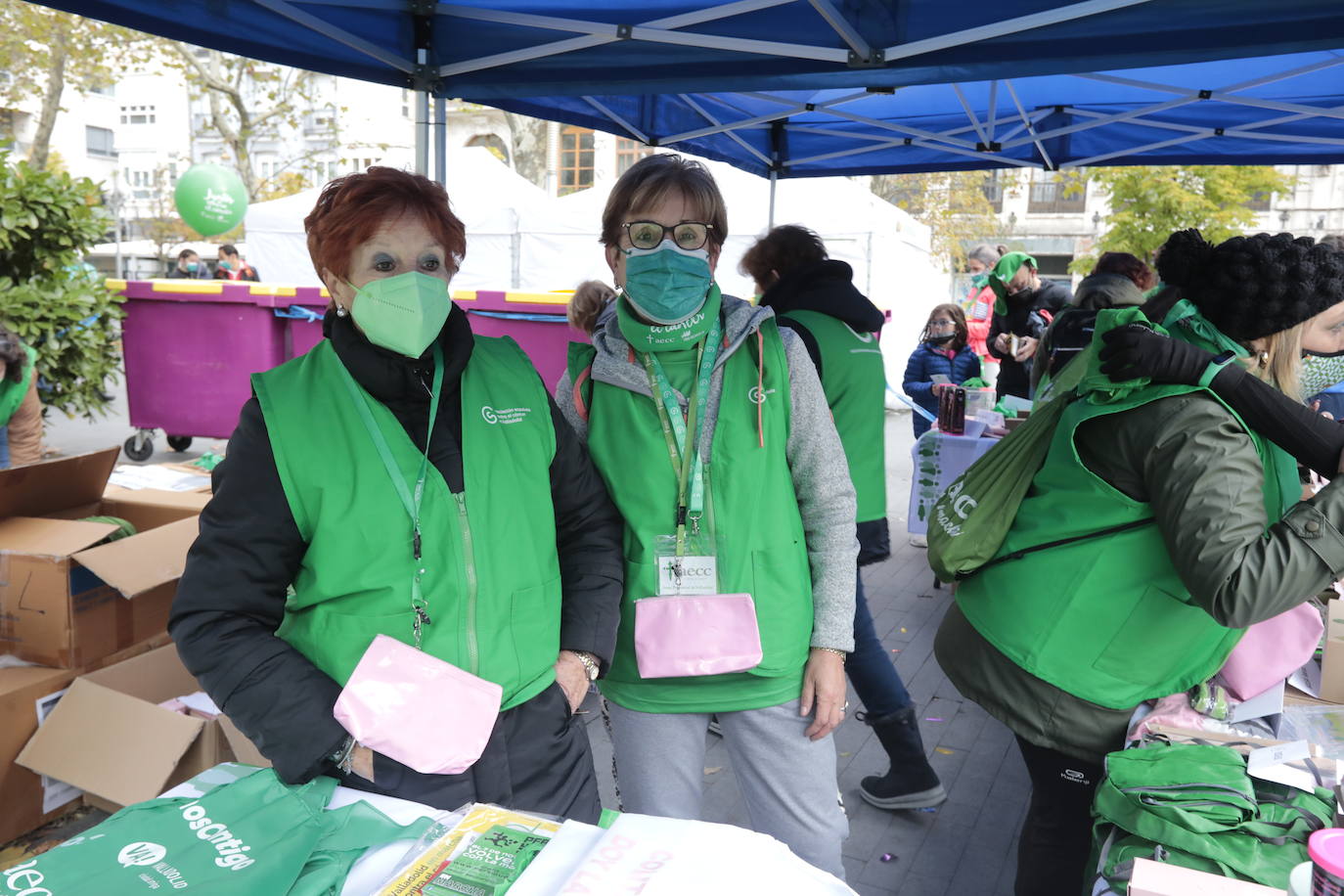 Fotos: Marcha contra el Cáncer en Valladolid (8)