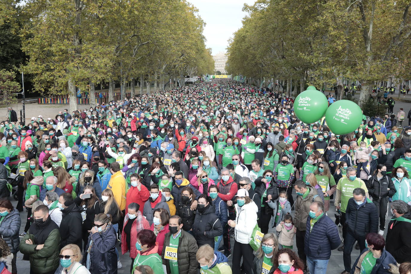 Fotos: Marcha contra el Cáncer en Valladolid (9)