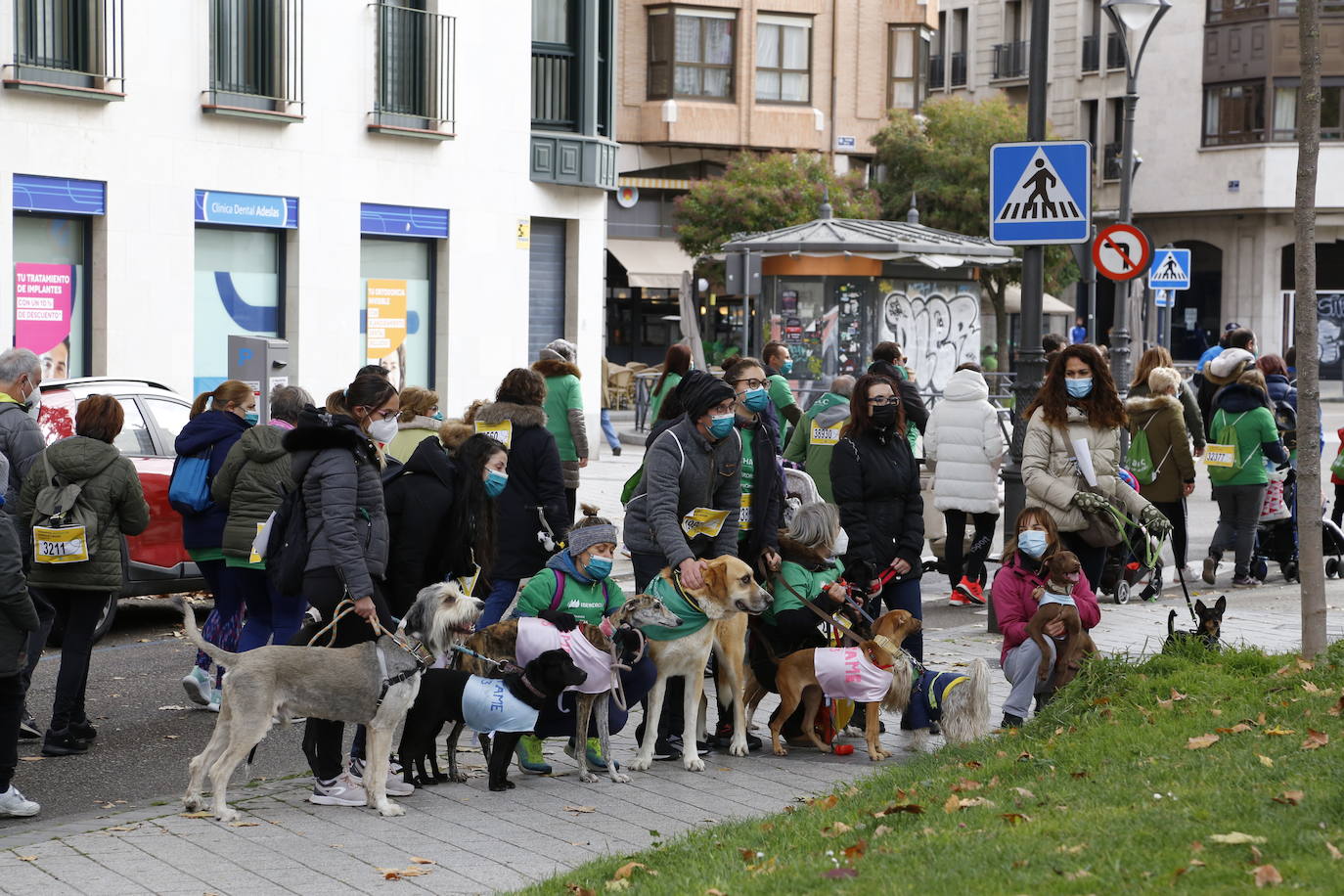 Fotos: Marcha contra el Cáncer en Valladolid (10)