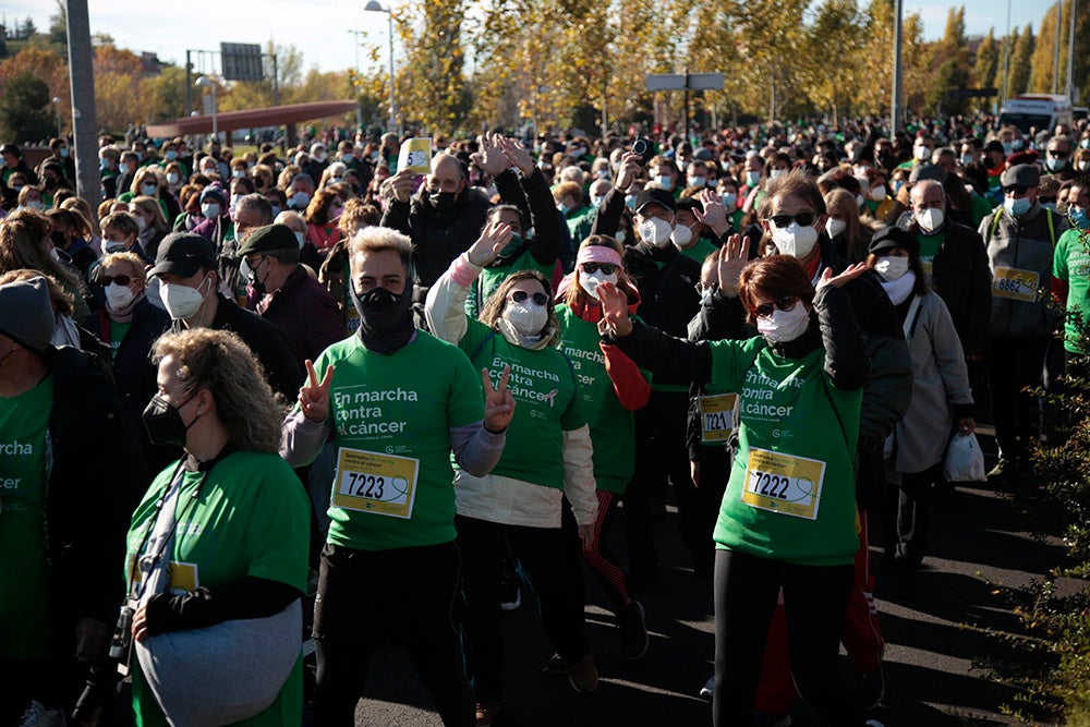 Miles de personas partieron desde el parque Elio Antonio de Nebrija en el regreso de la Marcha Salamanca Contra el Cáncer