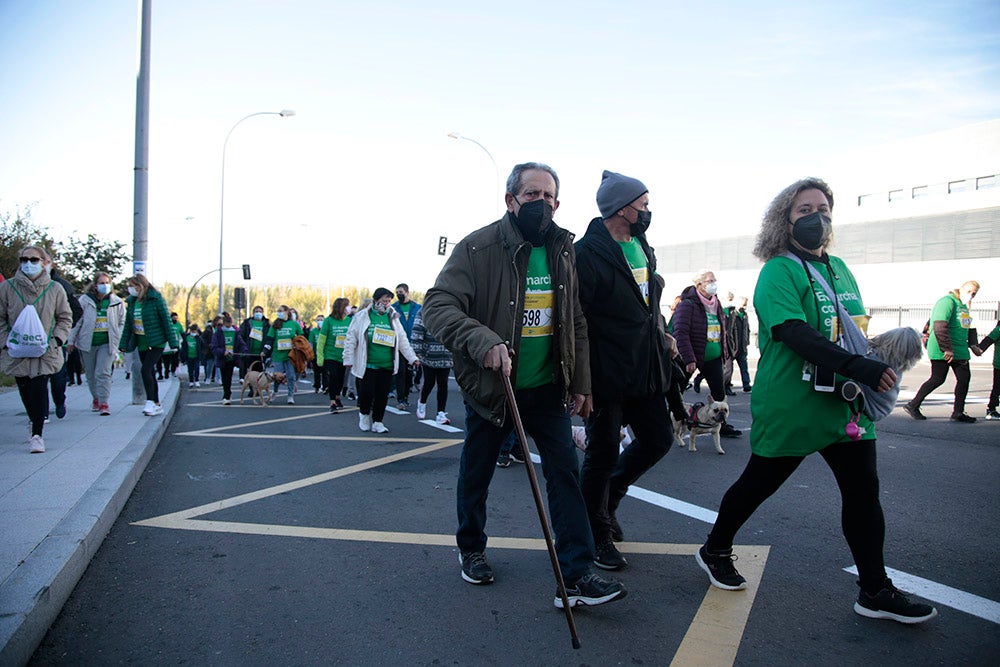 Miles de personas partieron desde el parque Elio Antonio de Nebrija en el regreso de la Marcha Salamanca Contra el Cáncer