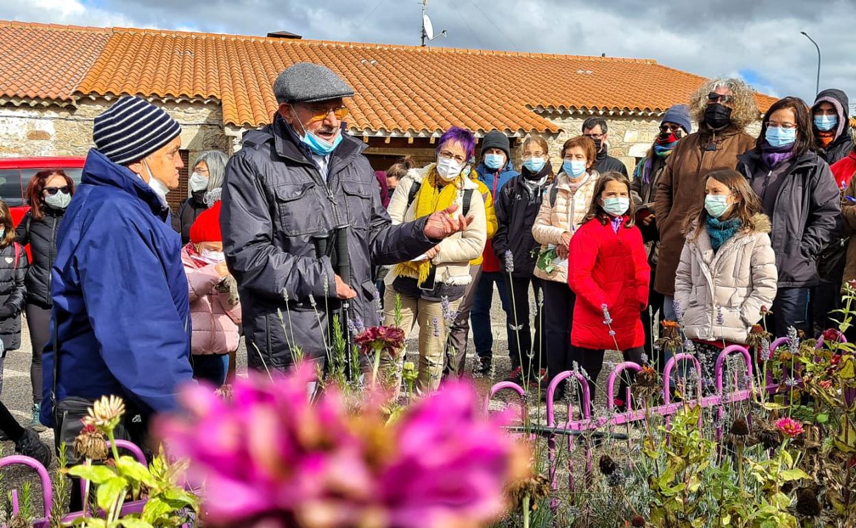 Paseo por el entorno de Juzbado para distinguir y clasificar diferentes tipos de plantas. 