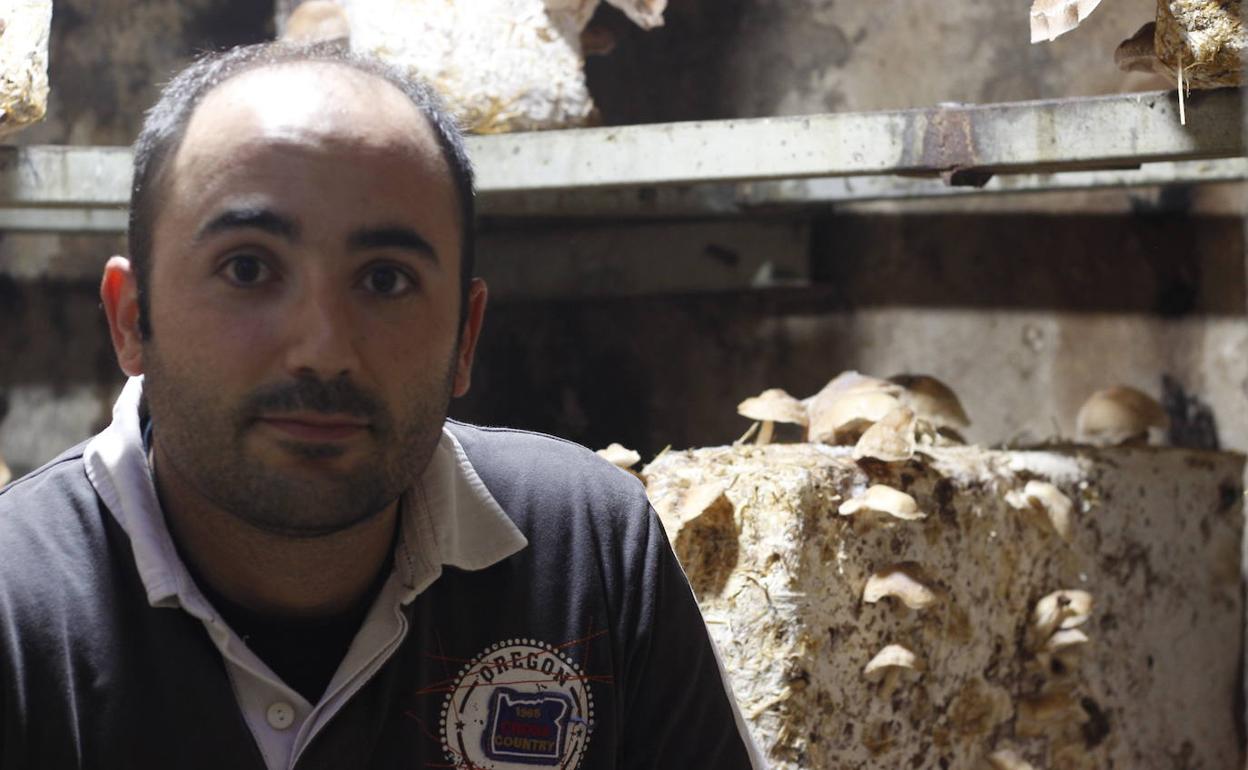 Víctor Martín, en su bodega donde cultiva hongos. 