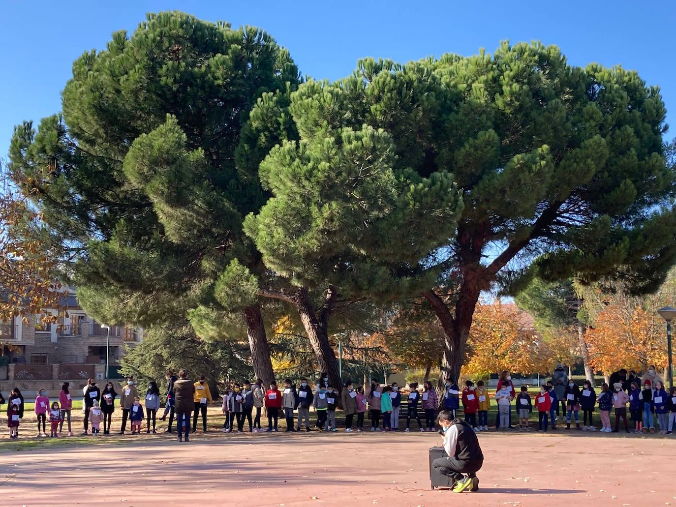 Fotos: Los alumnos del CEIP Parque Alameda bailan contra la obesidad