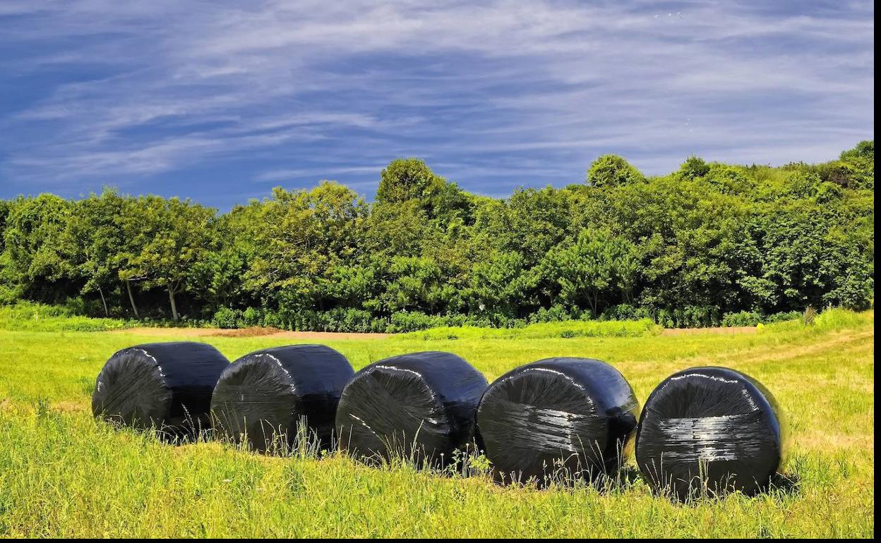 El agro europeo y el cambio climático